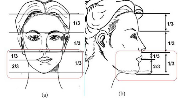 زیبایی چطور اندازه گیری می شود؟ ، زیباترین زن جهان